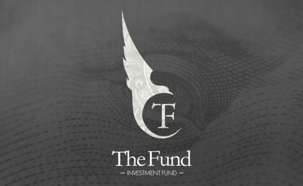 TheFund.io (TFIO) ICO Details, Ratings and Overview
